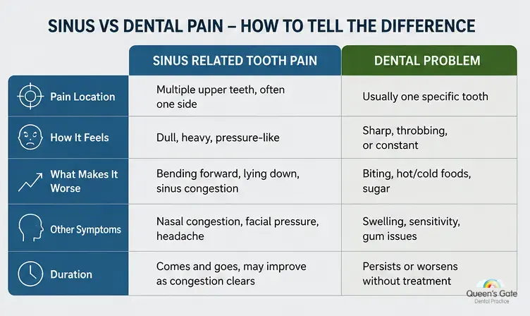 sinus and dental pain difference an connection